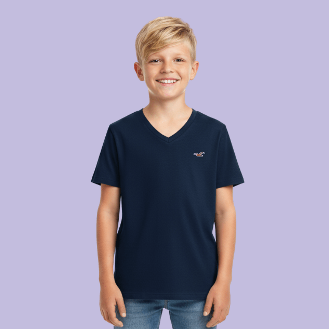 CAMISETA BASICA AZUL MARINHO HOLLISTER