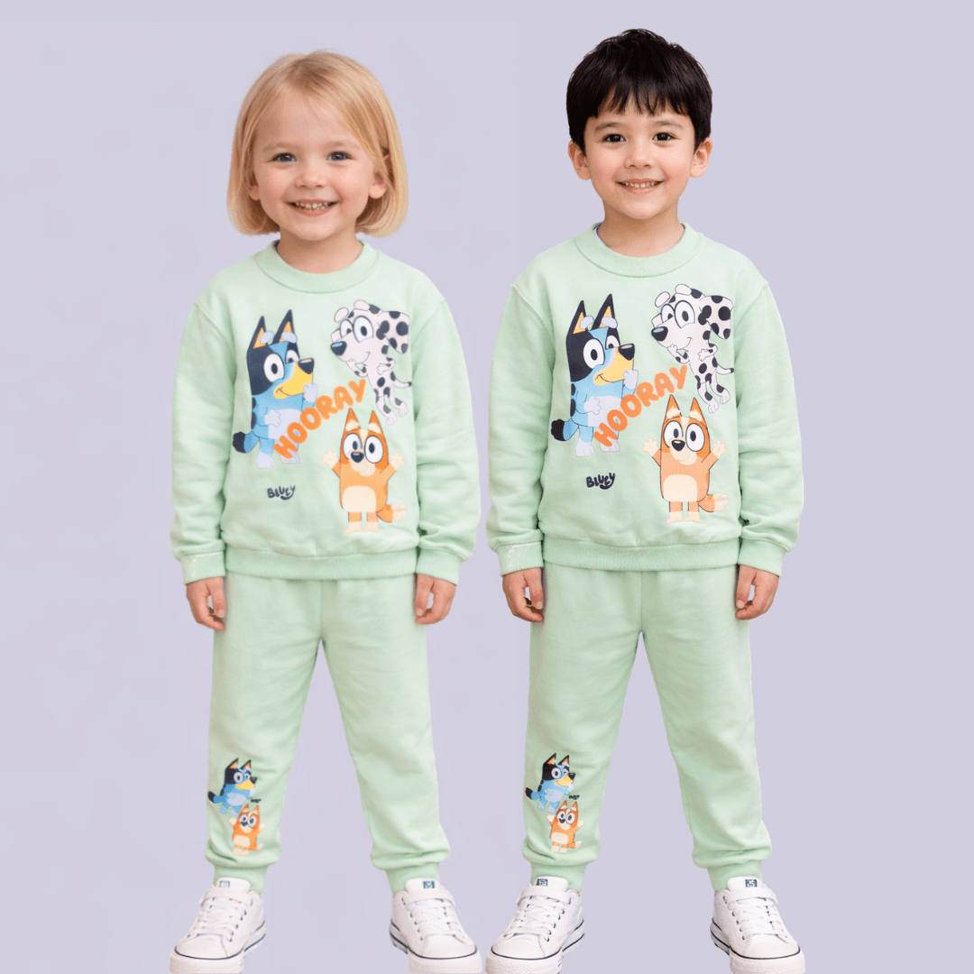 CONJUNTO INFANTIL BRANDILI MOLETOM PELUCIADO VERDE BLUEY